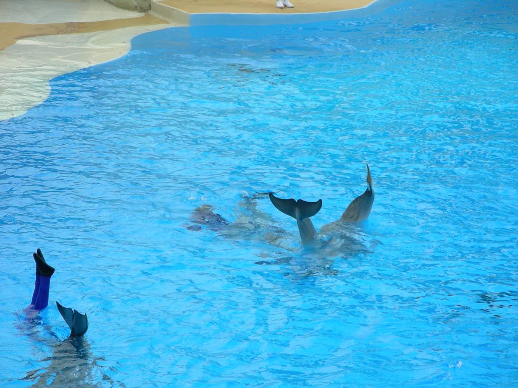 DSCN3474.jpg