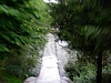 DSCN3503.jpg DSCN3503.jpg