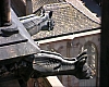 alsace030.JPG alsace030.JPG