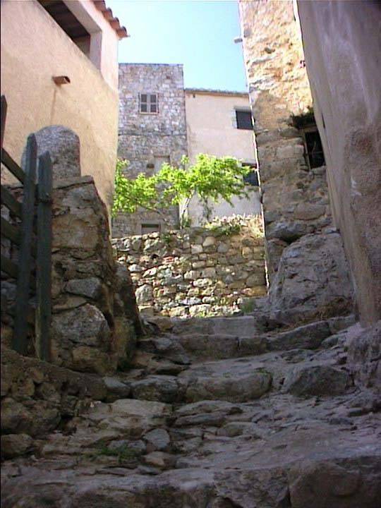corsica1025.jpg